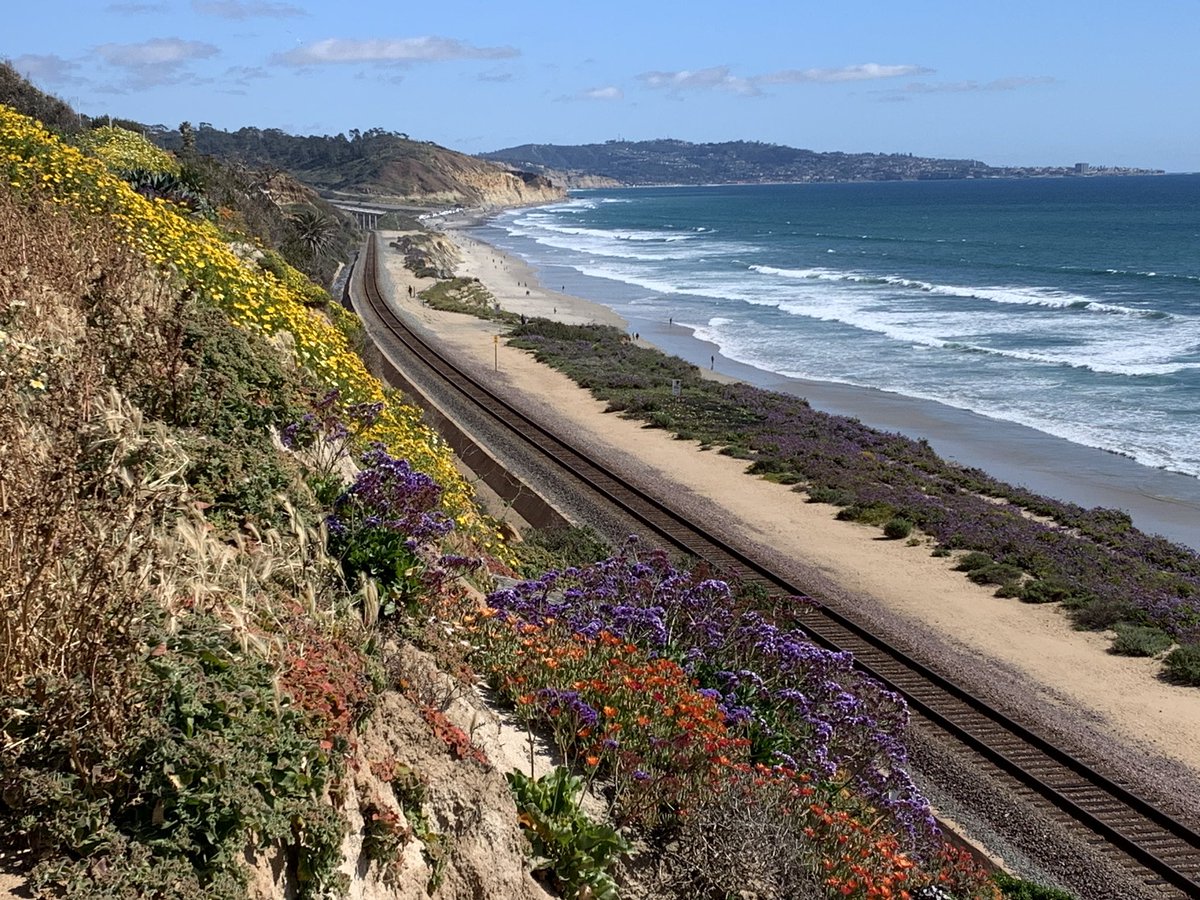 Chen Ran tweet media