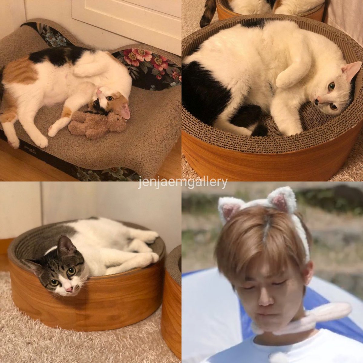 nomin babygirls ෆ tweet media