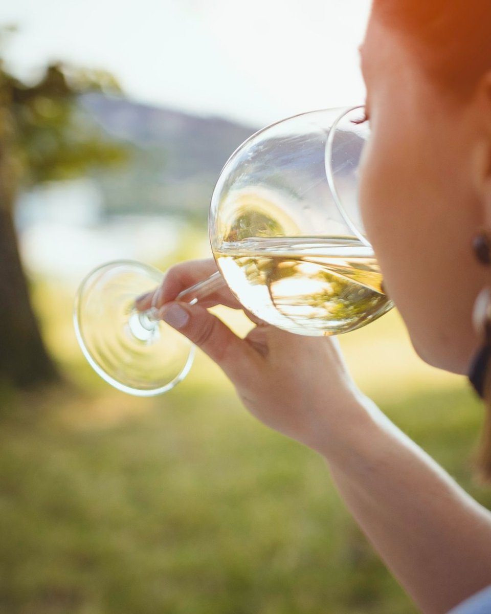 VAfoodie's tweet photo. Indulge in wine &amp; roses,🍷🌹 at the Wine &amp; Roses Festival in Fincastle on May 20th! Details: https://t.co/S2lObC7KIF
#vafoodie #wine #roses #festival #Virginia https://t.co/8ajAn2Otdf