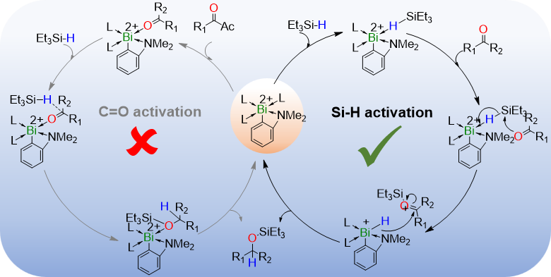 Main Group Chemistry @ IISERTVM (@maintvm) on Twitter photo Just accepted in <a href="/ChemEurJ/">ChemEurJ: Chemistry - A European Journal</a>: Mechanistic Investigations on Bismuth Catalyzed Reduction of Ketones and Phosphine Oxides.
Congratulations to <a href="/annabel_benny/">Annabel Benny</a> <a href="/Deepti__Sharma/">Deepti Sharma</a> <a href="/Ankur02637554/">Ankur</a> for the patient work!
<a href="/tvmiiser/">IISER Thiruvananthapuram</a> <a href="/Chemie_iisertvm/">School of Chemistry IISER TVM</a> <a href="/ChemEurope/">Chemistry Europe</a> Just accepted in <a href="/ChemEurJ/">ChemEurJ: Chemistry - A European Journal</a>: Mechanistic Investigations on Bismuth Catalyzed Reduction of Ketones and Phosphine Oxides.
Congratulations to <a href="/annabel_benny/">Annabel Benny</a> <a href="/Deepti__Sharma/">Deepti Sharma</a> <a href="/Ankur02637554/">Ankur</a> for the patient work!
<a href="/tvmiiser/">IISER Thiruvananthapuram</a> <a href="/Chemie_iisertvm/">School of Chemistry IISER TVM</a> <a href="/ChemEurope/">Chemistry Europe</a>