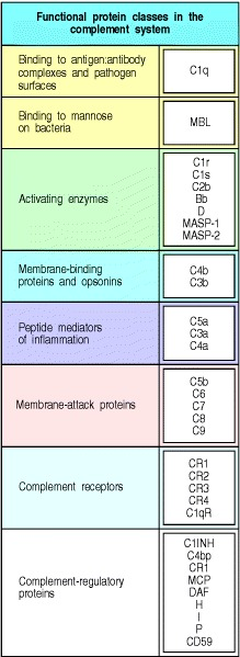 edgarvlermamd's tweet photo. Nice comprehensive review of the complement pathway #PathophysiologyPearls #Nephpearls

https://t.co/R03Vnr0QSE https://t.co/LjwCndaHGF