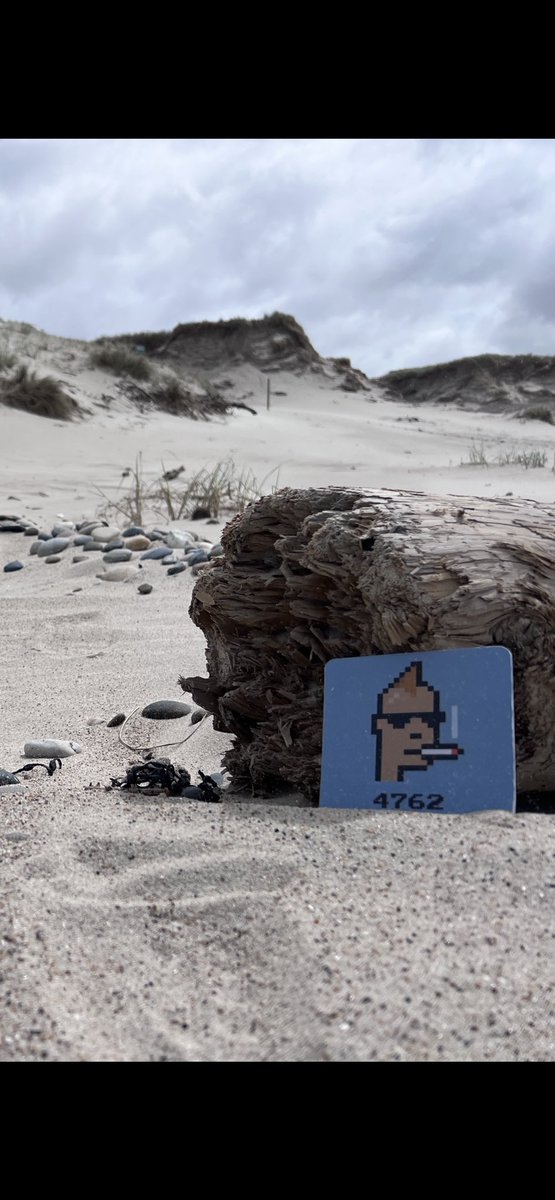 Melrenterr's tweet photo. Touching gras they said 🫵😂@punk4762 @foreverpunksnft #cryptopunksnft #Community #denmark #rollovereurope #gras #punked #V1punks https://t.co/FuXgfMgO8y