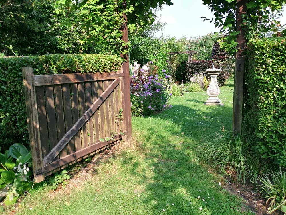 A gate into my paradise...

#fredasgarden