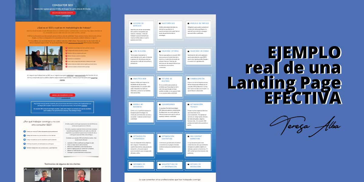 Teresa Alba tweet media