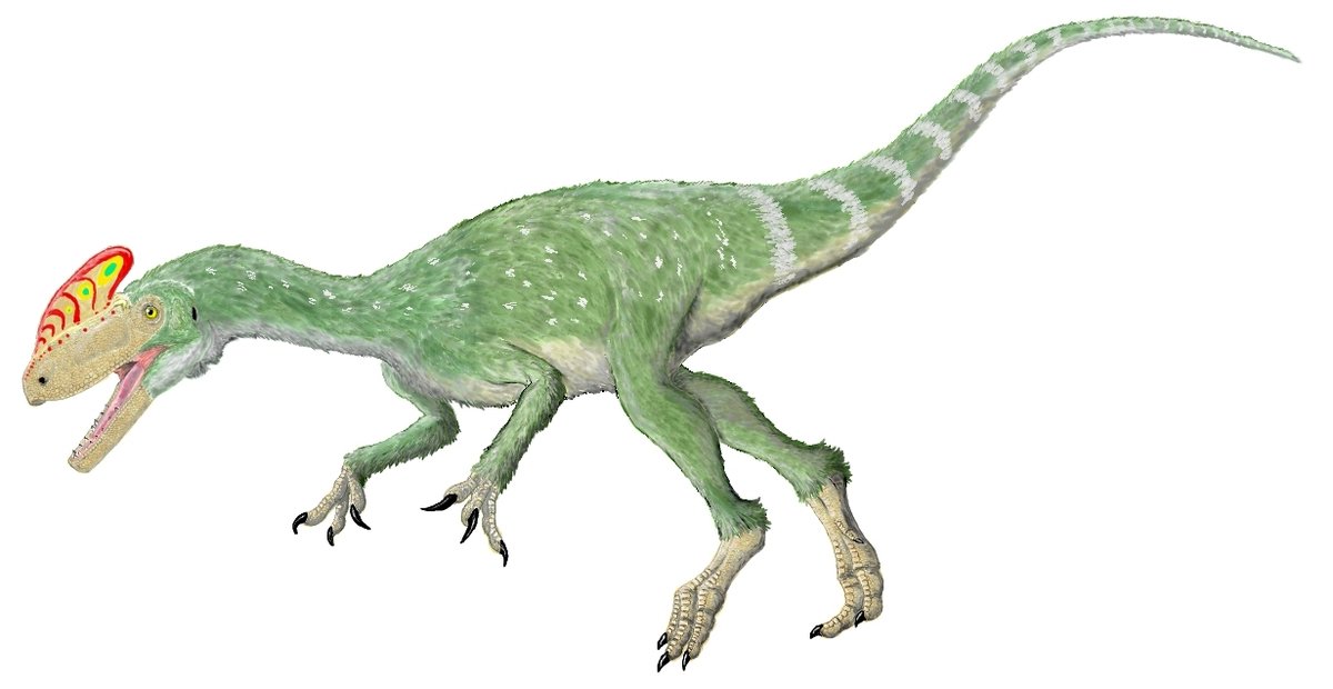 kta92751434's tweet photo. #Guanlong wucaii
#Xiongguanlong baimoensis
#Dilong paradoxus
#Dryptosaurus aquilunguis
ティラノサウルス解体新書読んでるので、2軍特集😍 https://t.co/Aij6UZq5dQ