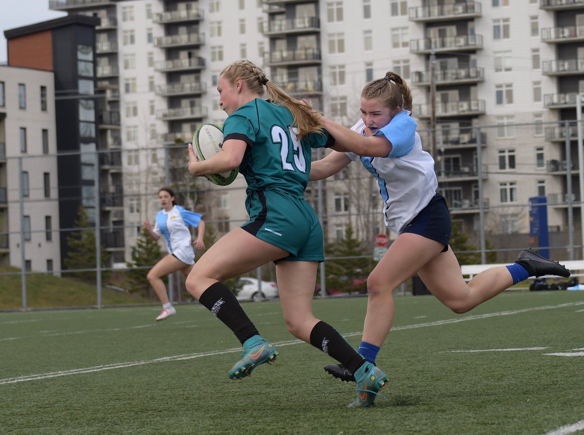 DW Photo tweet media