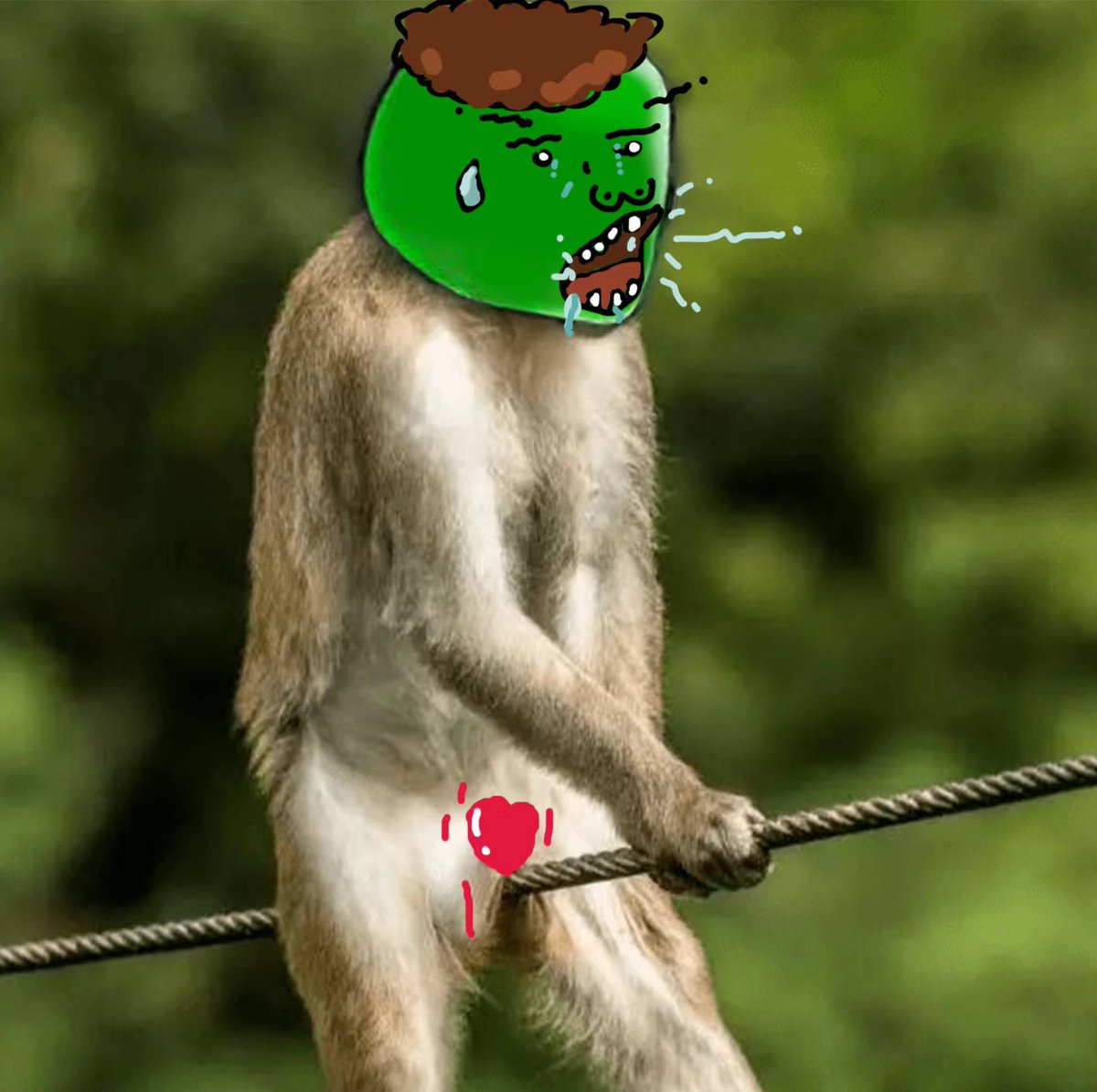 It's $MATCH's time to rise! 
Join the $MATCH memecoin as we debut on UniSwap V2.

app.uniswap.org/#/swap?use=V2&…

LFG! 🚀🚀🚀