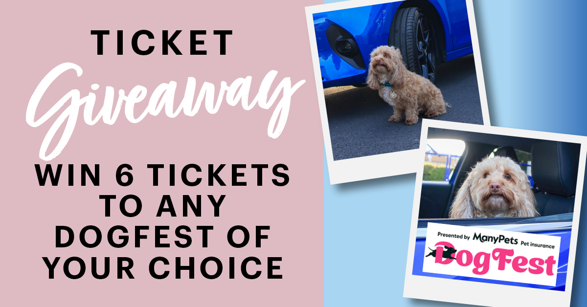 Win 6 tickets to <a href="/DogfestUK/">DogFest</a> at a festival location of your choosing! 😍🐾

To enter –
🦮 Retweet this post
🐕‍🦺 Follow our page <a href="/motorpoint/">Motorpoint</a>
🐩 Tag a friend in the comments, more tags = more entries!

We'll announce one lucky winner on the 23rd of May 2023. Good luck! 🙌 #DogFest23
