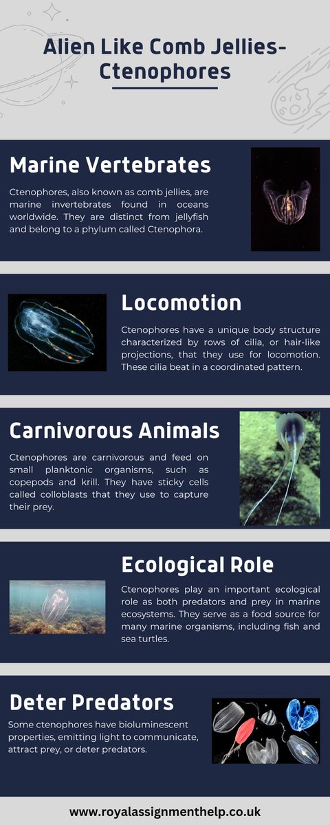 RoyalassignHelp's tweet image. Discover the enchanting world of #Ctenophores - the ethereal comb jellies of the ocean! These captivating marine invertebrates, with their mesmerizing cilia-powered locomotion, are truly extraordinary! #MarineWonders #NatureIsMagic