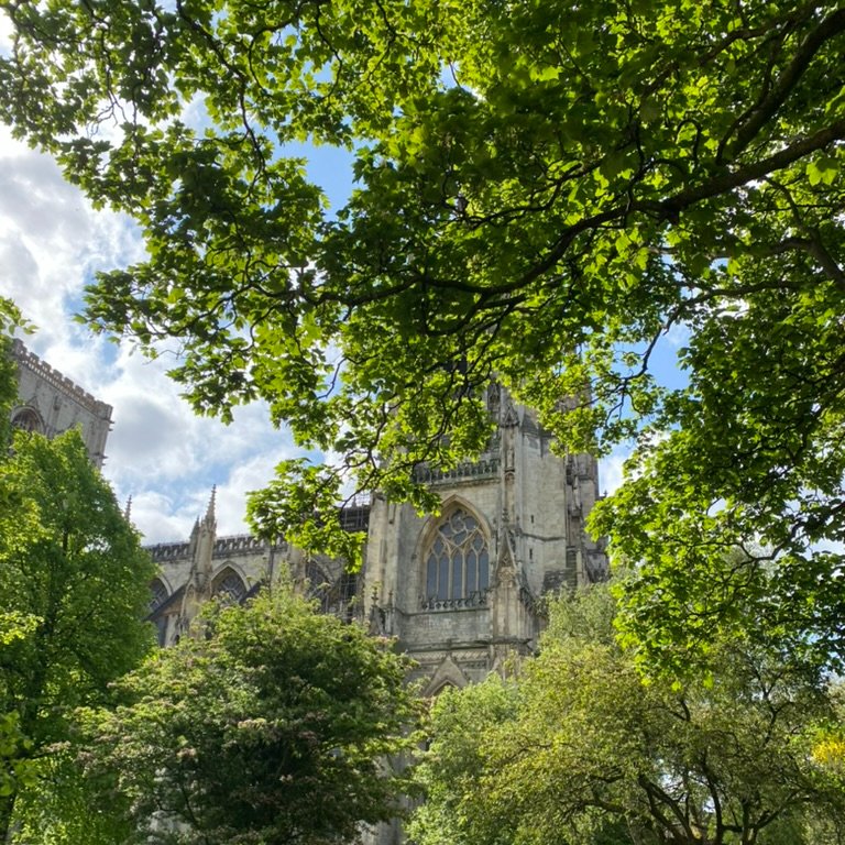 AvoriumYork's tweet photo. @York_Minster looking stunning this morning #minster #york #love #loveyork #yorkminster #tourismyork https://t.co/vt0NesHheN