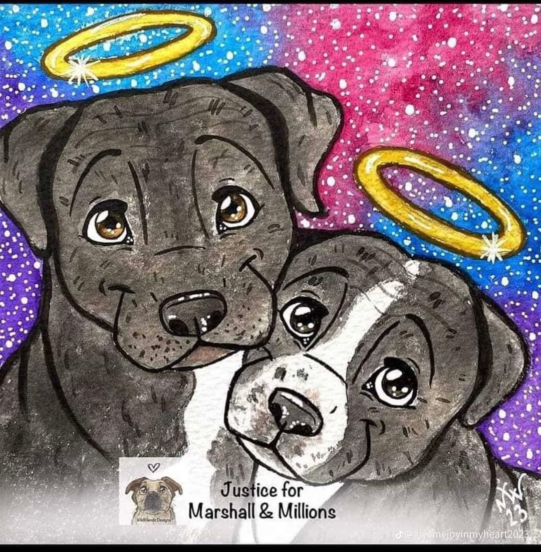 diazon_angelyn's tweet photo. #JusticeForMarshallandMillions 
#JusticeforMarshall 
#JusticeForMillions https://t.co/vAcvkYWVoK
