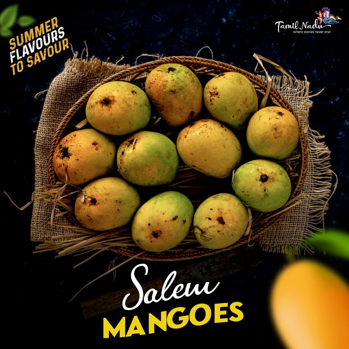 aaipnyairport's tweet photo. When the scorching sun brings summer cheer, savour the juicy sweetness of these golden gems from Salem and celebrate the spirit of the season with every delicious bite.
#tntourism #summer #foodsofinda #mambalam #malkova
Pic courtesy @tntourismoffcl
@AAIRHQSR
@AAI_Official https://t.co/ouCB6rKCNn