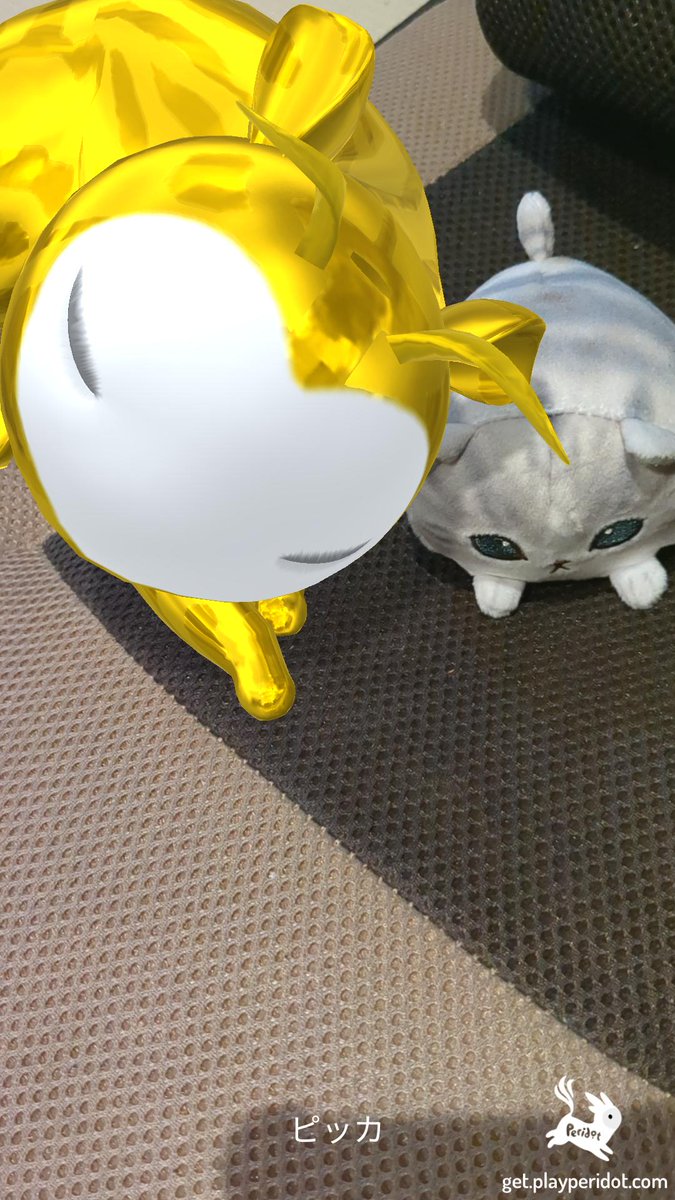 puntomi's tweet photo. 成長のお供。
#ペリドット
#Peridot
#MyFirstDot https://t.co/S5AnatBz3E