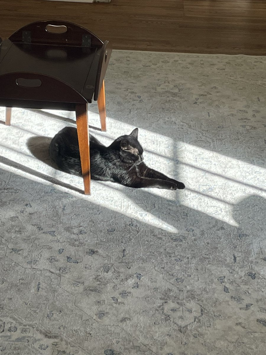 PerryOz's tweet photo. Post a picture of your pet and whom they are named after. https://t.co/gJGntkK5kl