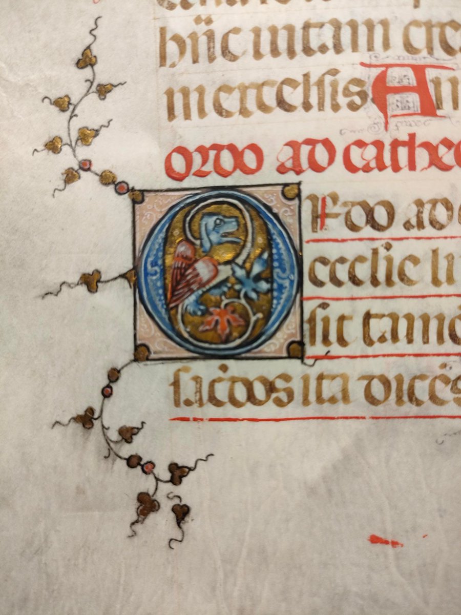 SCA_MULibrary's tweet photo. Benedictional (RB 74) Dateable by external criteria to between 1329 and 1348.Illuminated initials with trail borders and trefoil-shaped flowers on stems. Calligraphic initials throughout. #ManuscriptMonday #RussellLibrary https://t.co/8NxJUzwwJh