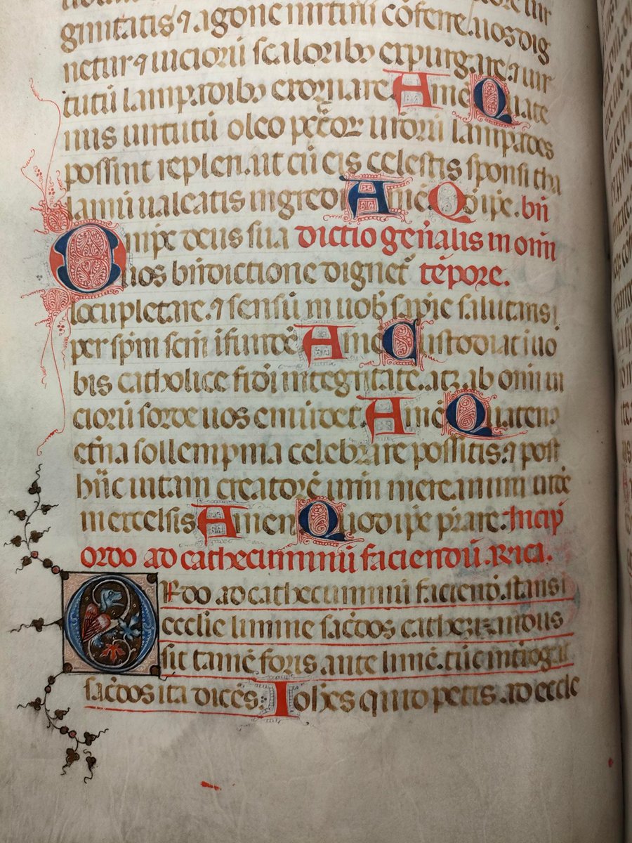 SCA_MULibrary's tweet photo. Benedictional (RB 74) Dateable by external criteria to between 1329 and 1348.Illuminated initials with trail borders and trefoil-shaped flowers on stems. Calligraphic initials throughout. #ManuscriptMonday #RussellLibrary https://t.co/8NxJUzwwJh