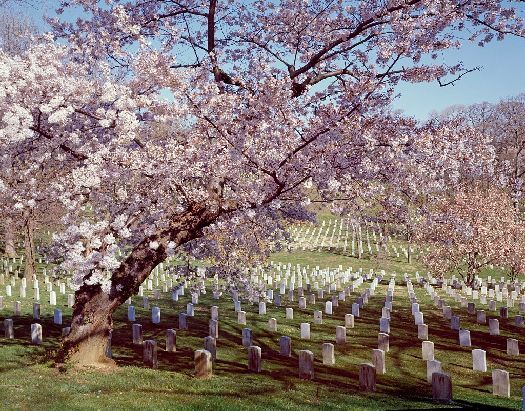 GK:General Knowledge tweet media