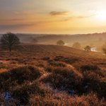 Photo by Jan Immeker🇳🇱 (@JanImmeker)