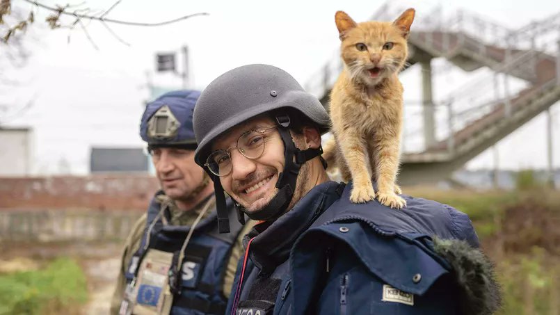 Christophe Deloire tweet media