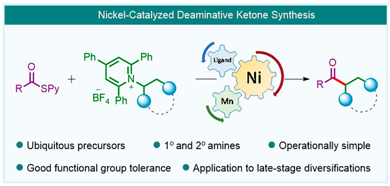 JOC_OL's tweet photo. Kranthi Kumar and Chaithanya report in #OrgLett: Nickel-Catalyzed Deaminative Ketone Synthesis: Coupling of Alkyl Pyridinium Salts with Thiopyridine Esters via C-N Bond Activation. https://t.co/FQk1F9kbSq #nickelCatalysis  #deamination  #katritzky  #KetoneCoupling https://t.co/YpfAiHOePH