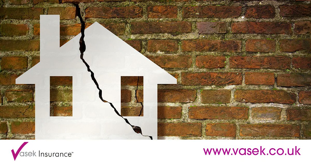 Vasek Insurance tweet media