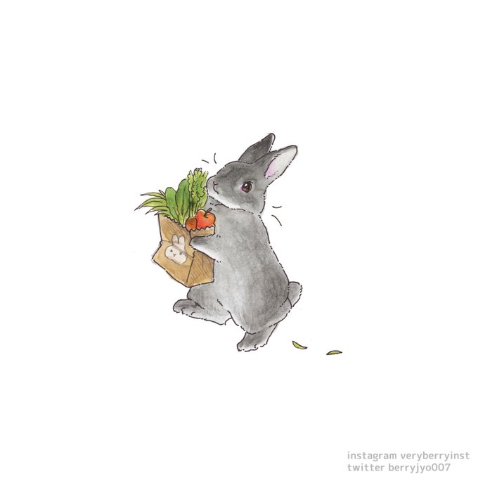 「groceries」 illustration images(Latest)