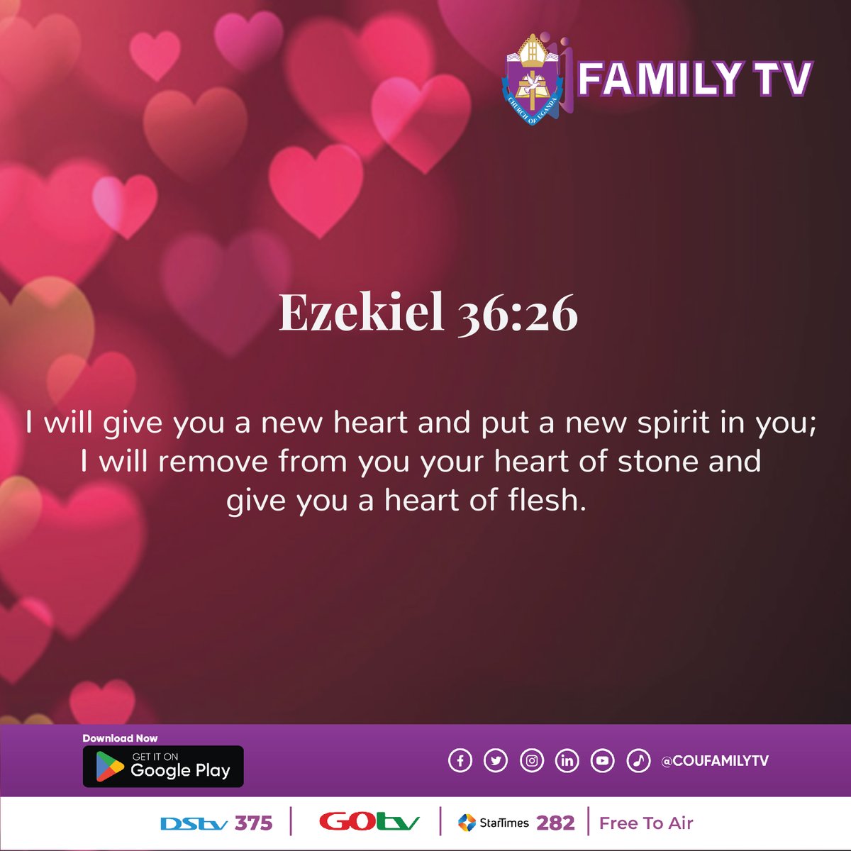 COU Family TV tweet media