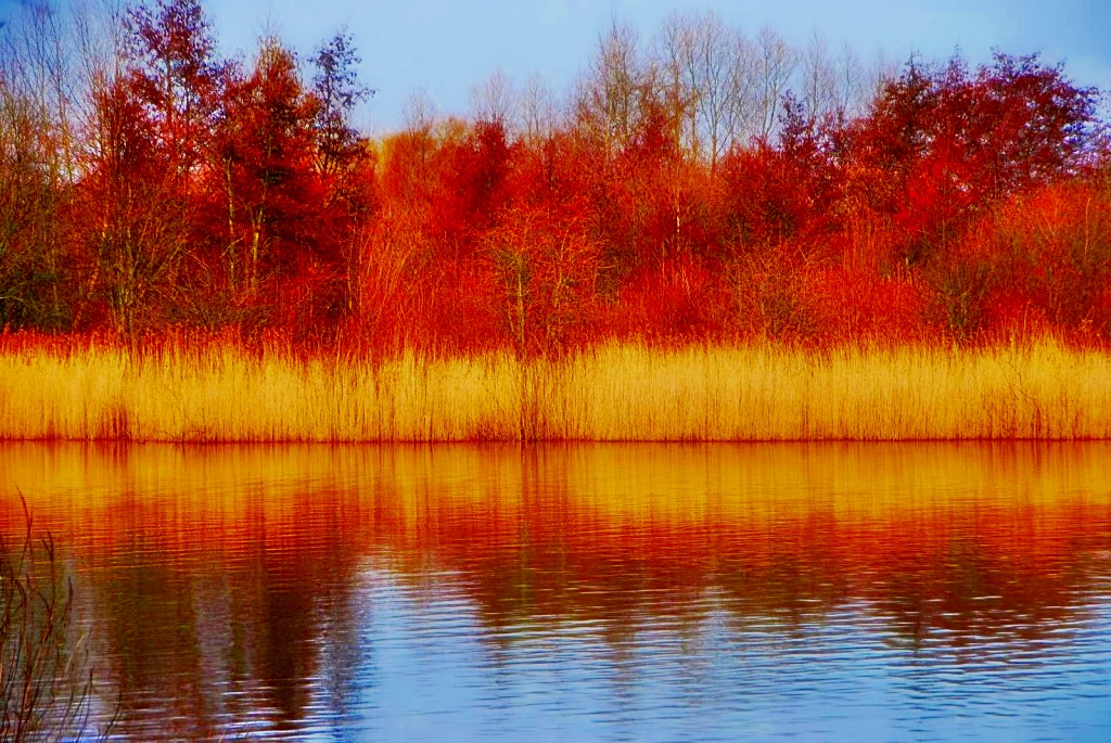 TheSuffolkMan's tweet photo. #NeedhamLake in the #autumn https://t.co/qtakO8fxkf