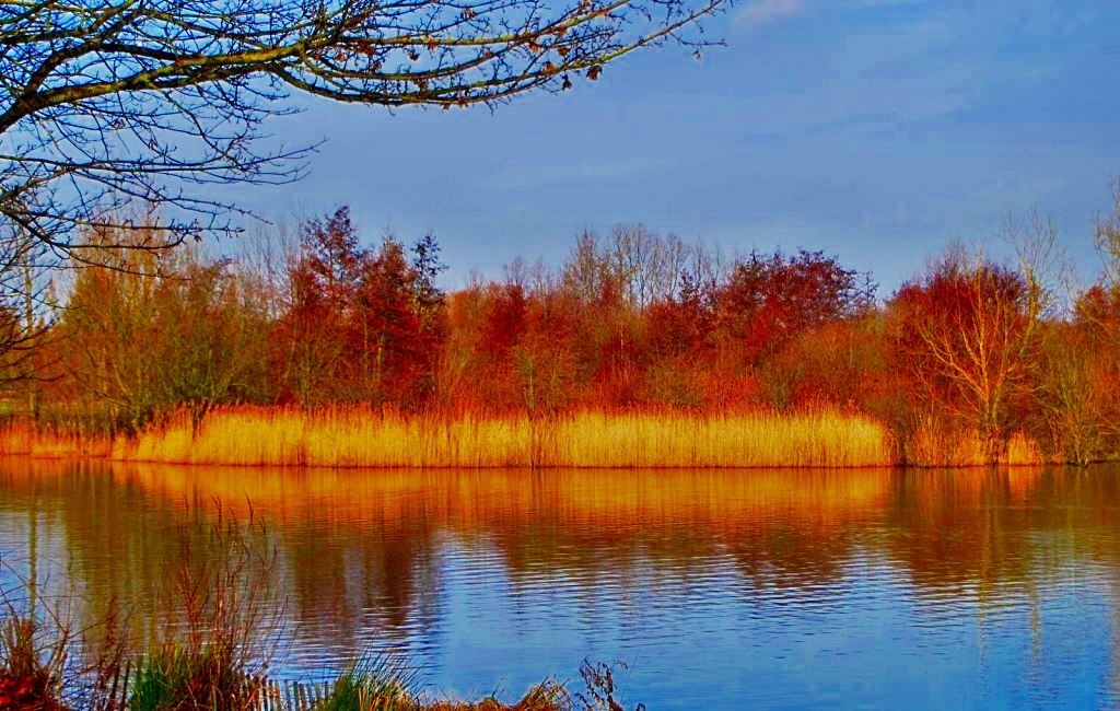 TheSuffolkMan's tweet photo. #NeedhamLake in the #autumn https://t.co/qtakO8fxkf