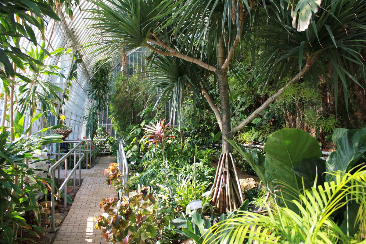 😍🌿 Fascina't amb les plantes al <a href="/JardiBotanicUV/">Jardí Botànic UV</a> . Jornades de portes obertes: 18 de maig #diadelafascinacióperlesplantes i el 22 de maig #diadeladiversitatbiologica
21 de maig: activitats gratuïtes per a tots els públics!
Consulta la programació👉 ir.uv.es/I7LJ80J