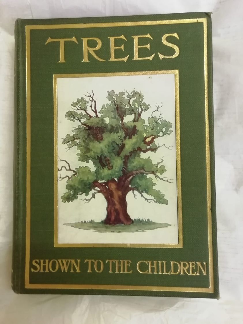Happy #NationalLoveATreeDay

#MuseumofChildhood #books #reading #trees
