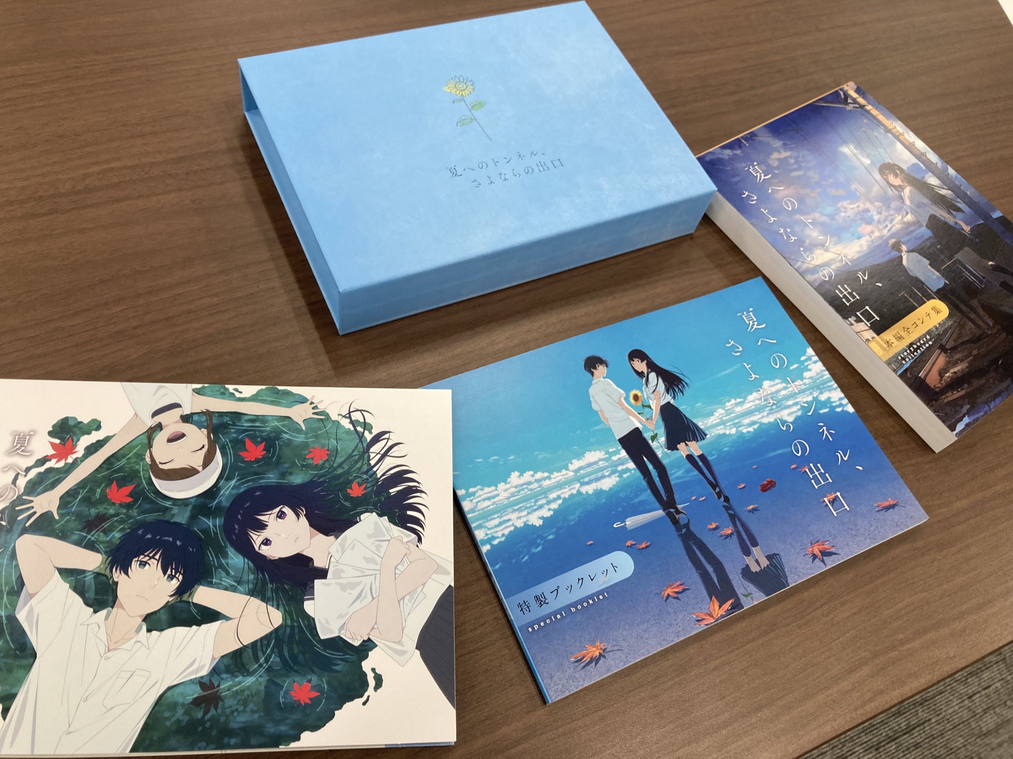 映画「夏へのトンネル、さよならの出口」アヌシー受賞・Blu-ray
