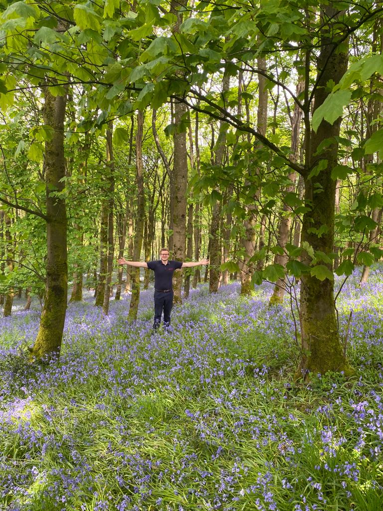 JKSLtd's tweet photo. So many beautiful bluebells in flower at the moment. The UK accounts for around 50% of the world’s population of bluebells, however, you may notice that not all is as it seems…. look closer…. #JKSL #invasiveSpeciesWeek #INNSweek #Bluebells https://t.co/GRzphHsH3K