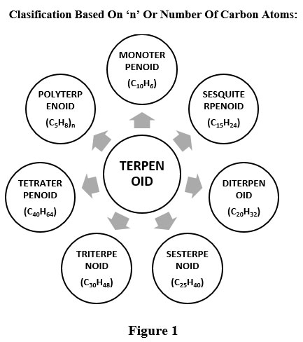 A Review on Terpenoid synthesized Nanoparticle and its Antimicrobial Activity
bit.ly/41IfMTI
#AntimicrobialActivity #Bacteria #Nanoparticle #Phytochemical #Terpenoid #chemistry #biochemistry #nanomaterial #analyticalchemistry #chemicalengineering #Phytochemicals