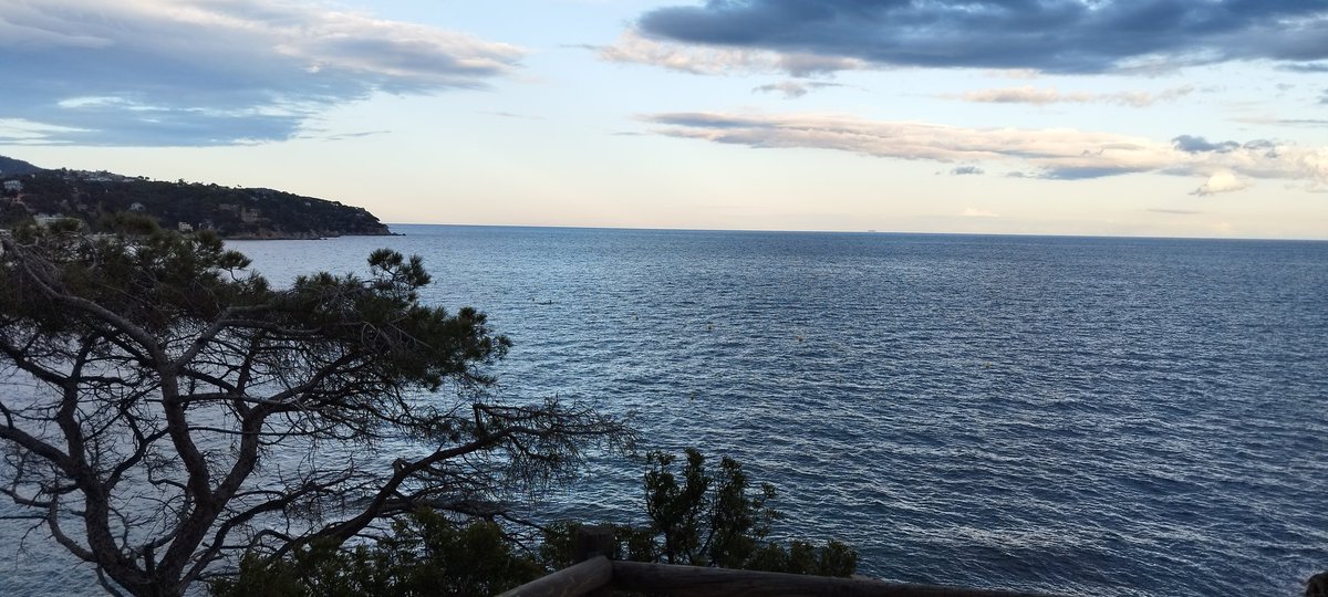 Disfrutar de cada instante. No digas después, ni mañana, solo el aquí y ahora #Barcelona