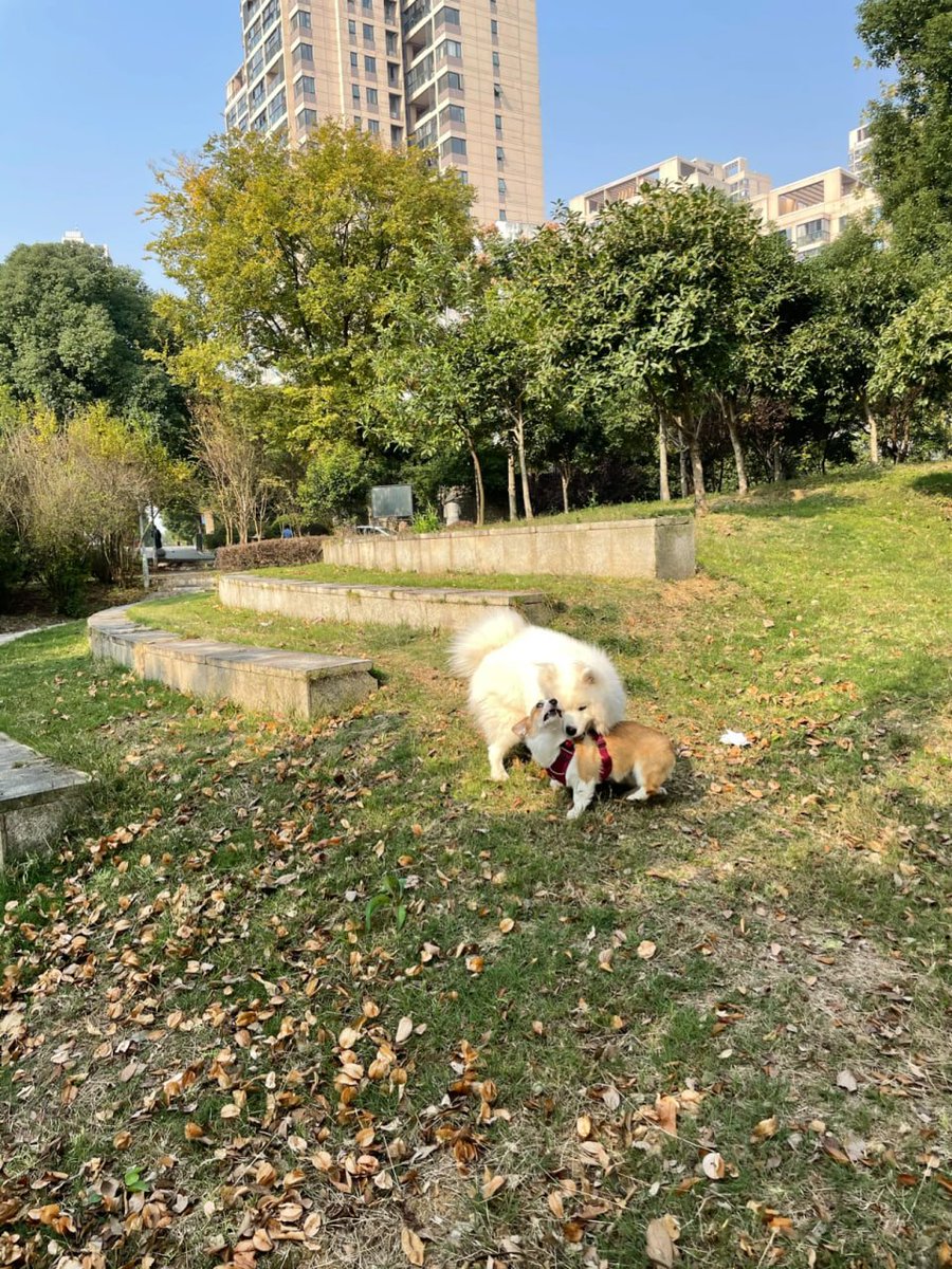 今日は仲良しのファット・クォックと楽しい一日です〜