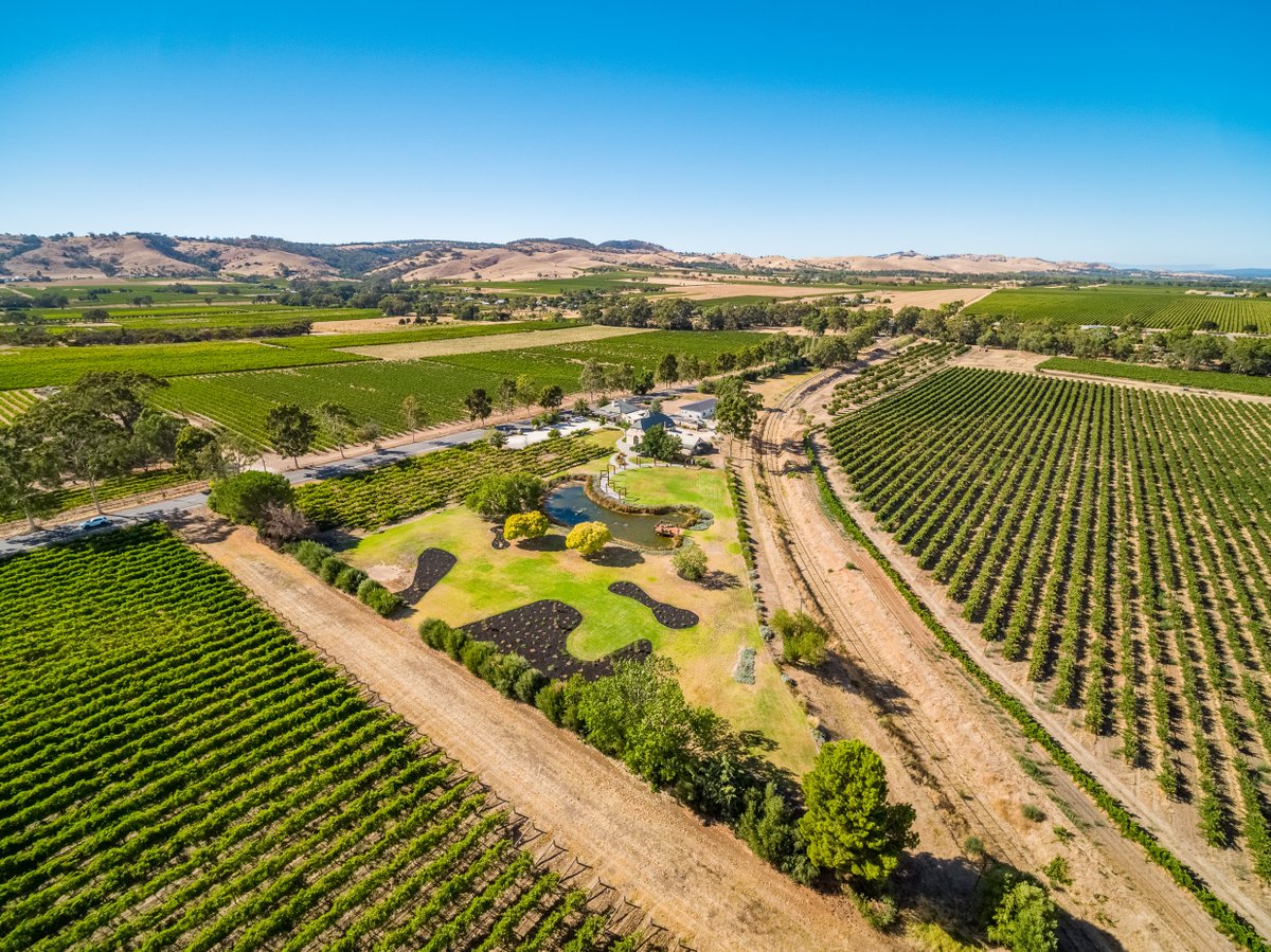 🍷 Join us on this unforgettable journey of taste, tradition, and terroir. Visit barossa.pirathon.estate to plan your visit, and discover our wines. Let Pirathon Barrosa Estate become your gateway to the remarkable wines and natural beauty of the Barossa Valley.