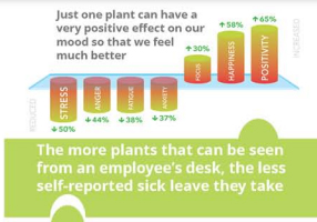 Anxiety is the theme of #MentalHealthAwarenessWeek  Over the years, much research has looked at how plants can help us deal with anxiety. plantsatwork.org.uk/index.php/news… 
📷Spectrum Architecture