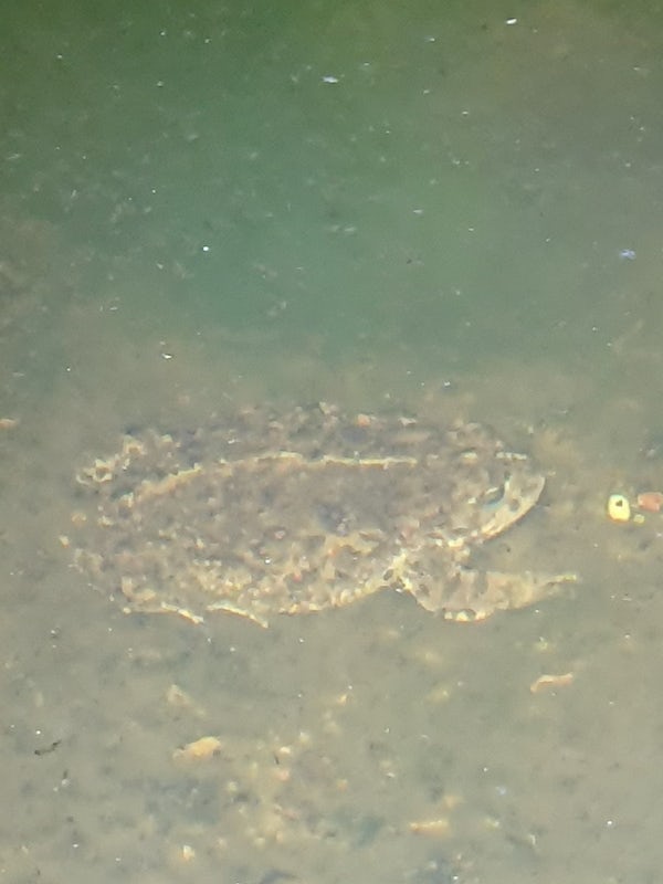 Naturetrek tweet media