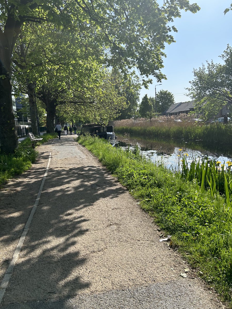 Lucky to have this walk to the office