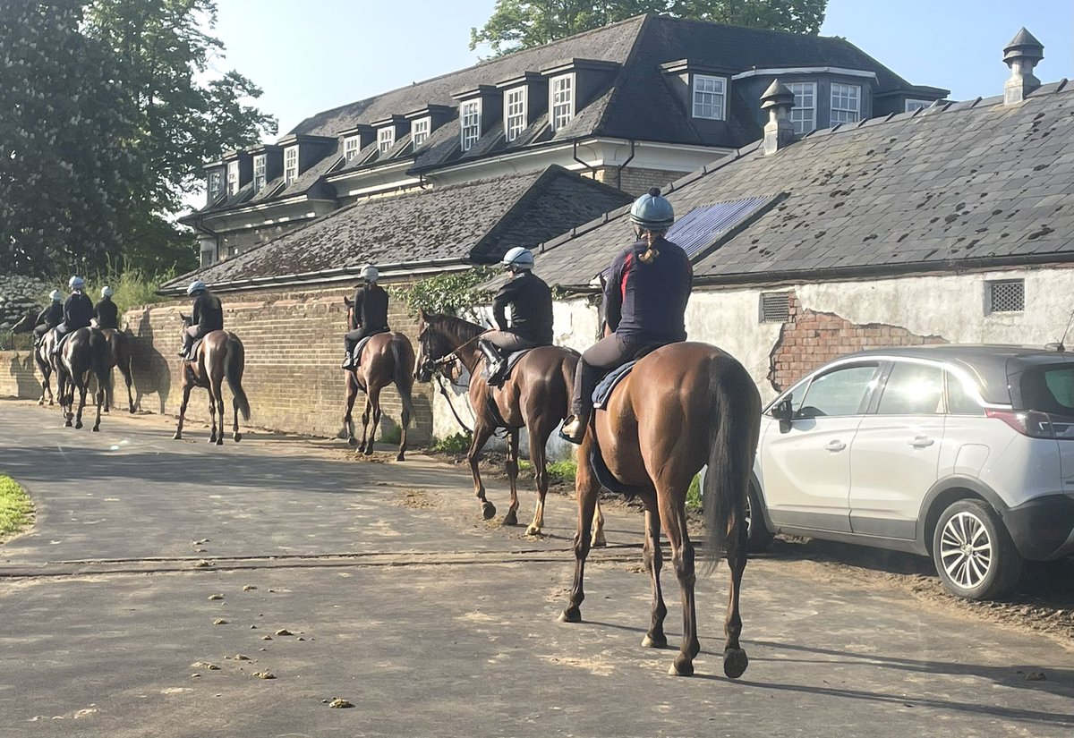 secretbetting11's tweet image. Morning all.
Lovely morning on the gallops. 
#gallops #newmarket  #thoroughbreed #betting #punter #racehorse