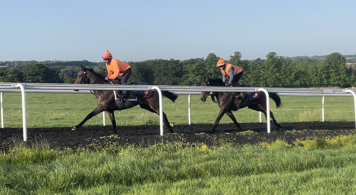 secretbetting11's tweet image. Morning all.
Lovely morning on the gallops. 
#gallops #newmarket  #thoroughbreed #betting #punter #racehorse