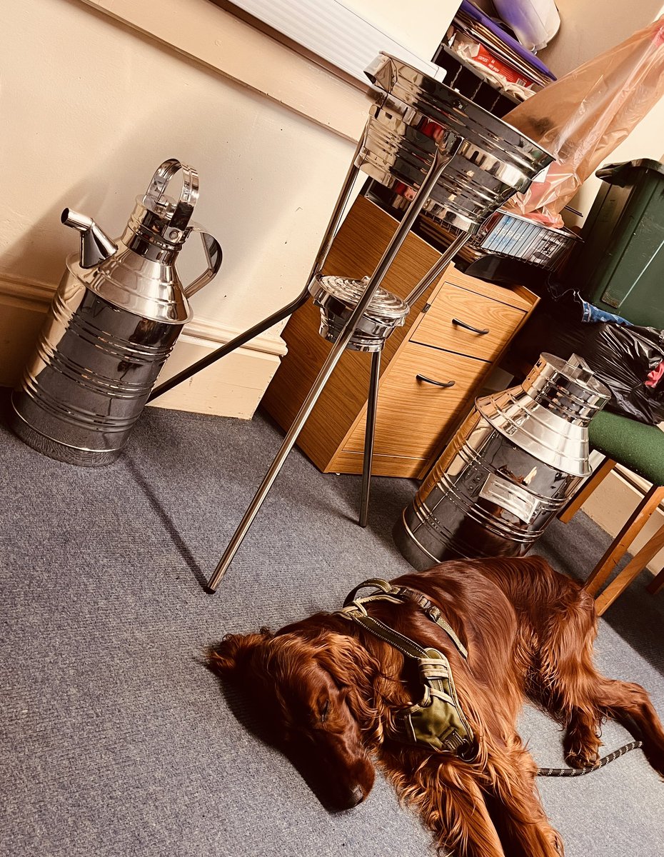 We’ve brought Seamus in today to protect some our lovely display items - he’s clearly a ferociously terrifying guard dog 🙄