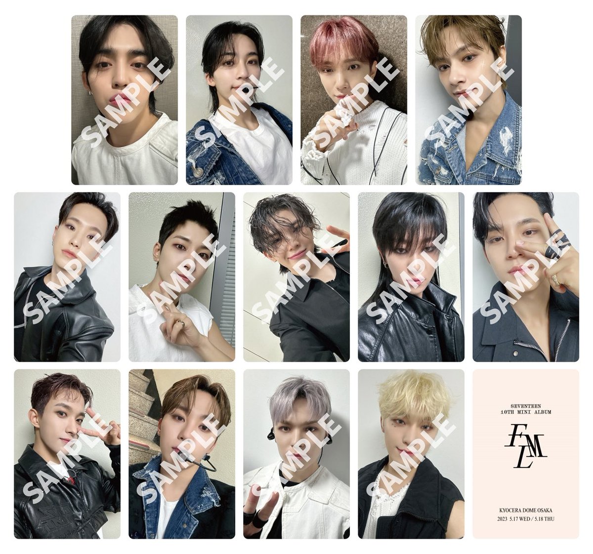 Seventeen FML Love Fanmeeting Venue Limited Photocards PH GO