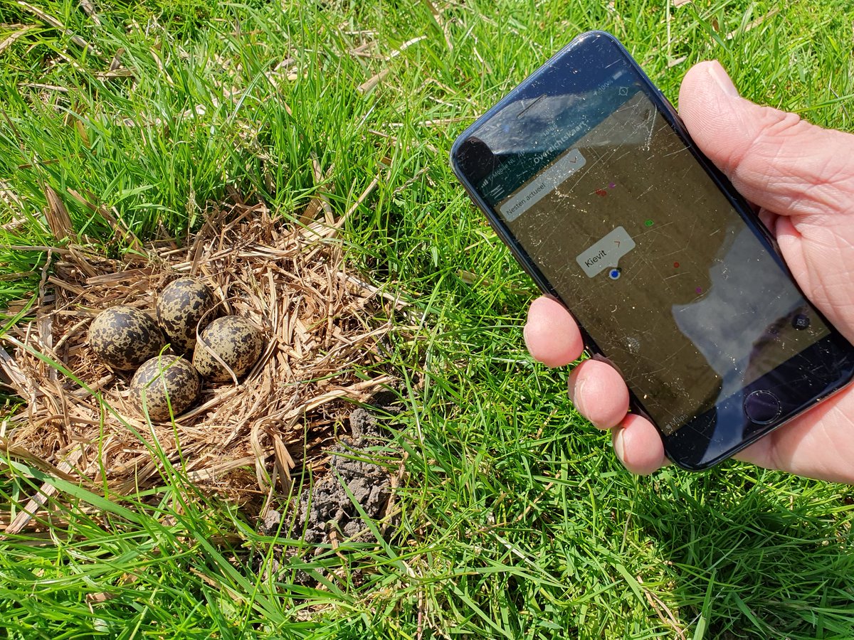 GSchoorstra's tweet photo. Windmolens tijdelijk stilzetten voor overtocht van trekvogels. Geweldig dat dit kan. En het moet ook. Techniek is onmisbaar. Zo zag ik dit bij Fûgelwacht Anjum. Een app helpt om de weidevogelnesten te lokaliseren. Goed voor de vogel en handig voor de boer. https://t.co/xMfalYzjGd