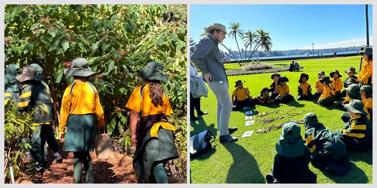 Exploration and hands-on learning <a href="/BotanicSydney/">Botanic Gardens of Sydney</a> for Year 2 today! #LoveWhereYouLearn #Geography <a href="/janholt07/">Jan Holt</a>