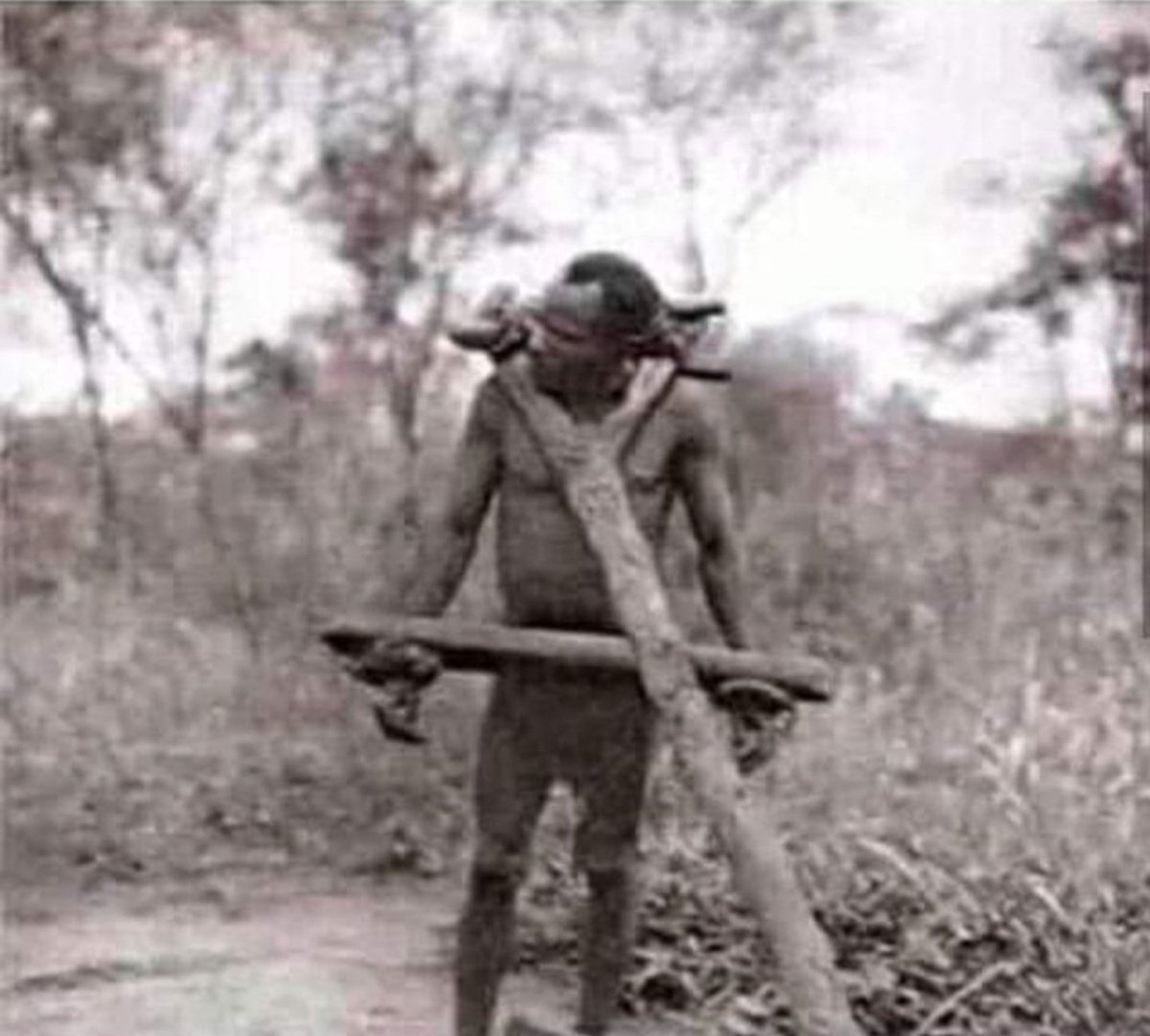 ricwe123's tweet photo. "Never forget what was done to the Jews in World War II", we are told. 

At the same time they tell the black people in Africa they must forget about the horrors of colonization.

Because it was a long time ago.

Isn't that hypocrisy?
🤔 https://t.co/3Bj4ubciDT