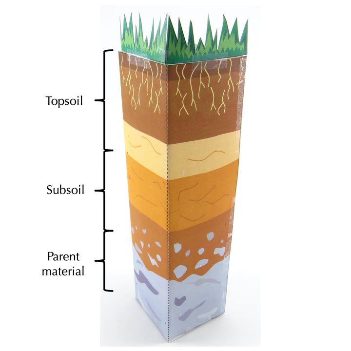 Anyone else enjoying the weather & looking at soil?

If you can’t get outside to look at soil or need to have something to compare your soil samples to in order to identify layers you might be interested in our Soil paper model! bit.ly/3Cc6Vx7

#soil #agrisci