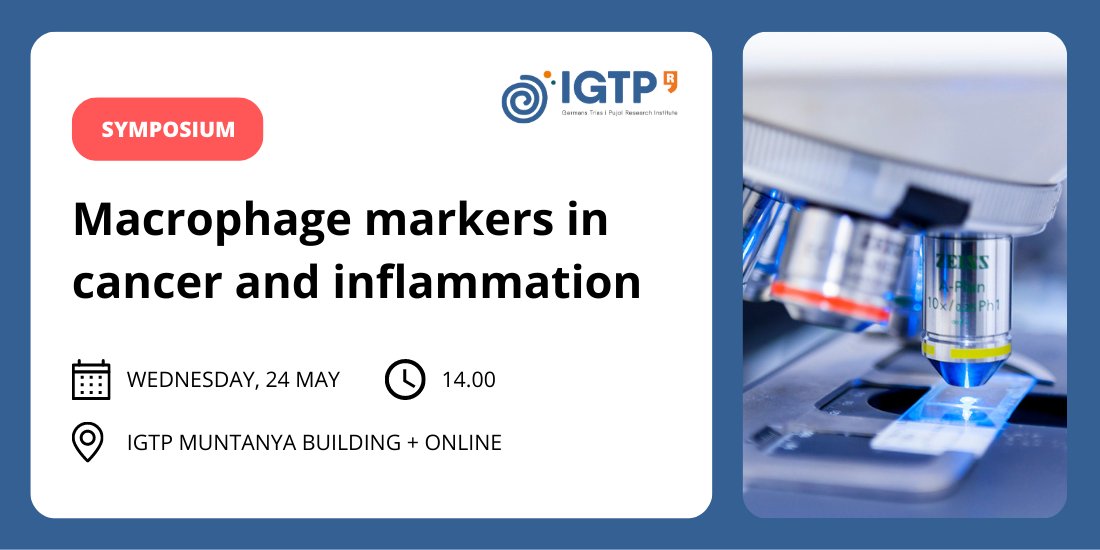 GTRecerca's tweet image. 🔵 The @Innate_IGTP will host a symposium on Macrophage markers in cancer and inflammation within the @MyeInfoBank COST action

🗓️ 24 May | 14.00-18.00
📍 IGTP Muntanya building + online

More information and registration 👉🏼 germanstrias.org/ca/agenda/764/