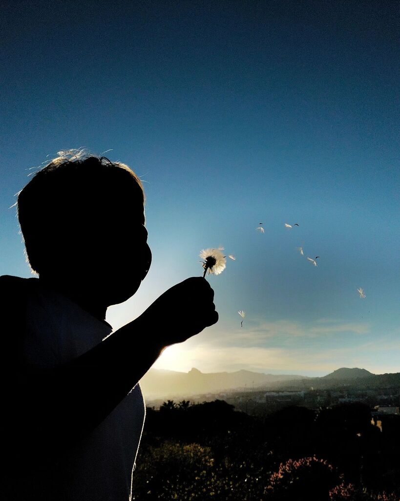 aaronSramos's tweet photo. Sunset seeding
.
.
.
.
.
.
.
.
.
.
.
.
.
.
#sunset #silhouette #atardecer #flower #seeds https://t.co/u5TY0I7kVU https://t.co/zrb83GQRZB